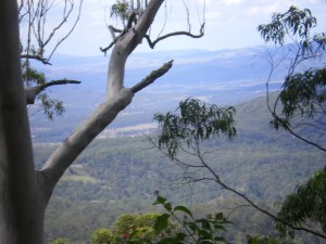 mountain view Great Dividing Range