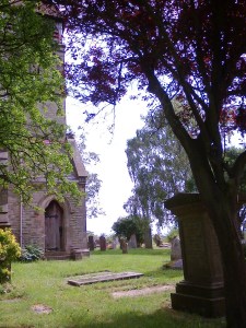 Old Milverton Churchyard 27 June 2014 (photo taken by SC Skillman)