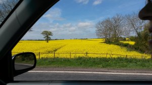 View of  fields on the journey from Wariwck to Stratford upon Avon