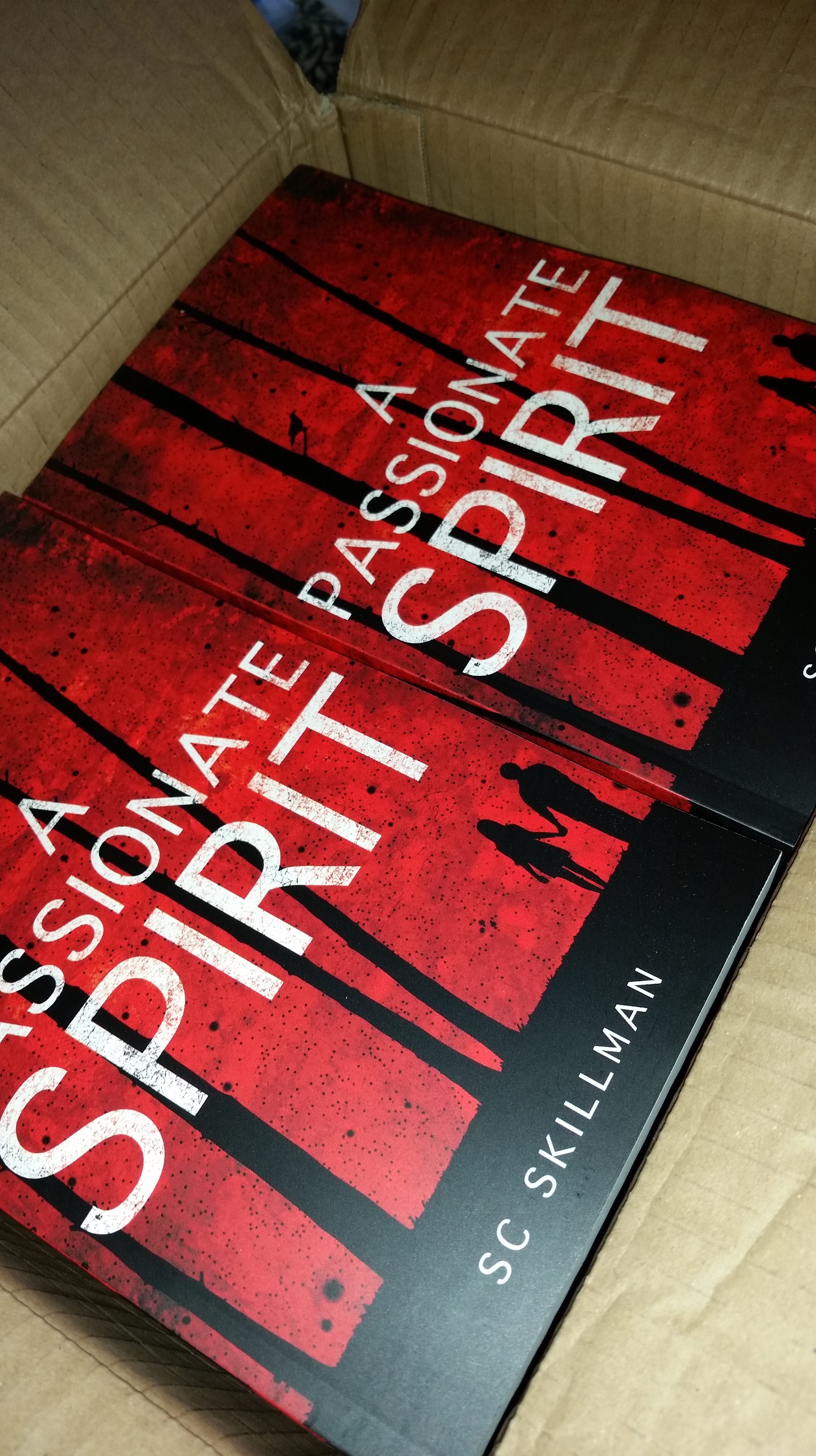 "A Passionate Spirit" by SC Skillman