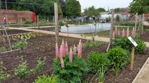Guys Cliffe Walled Garden, Warwick