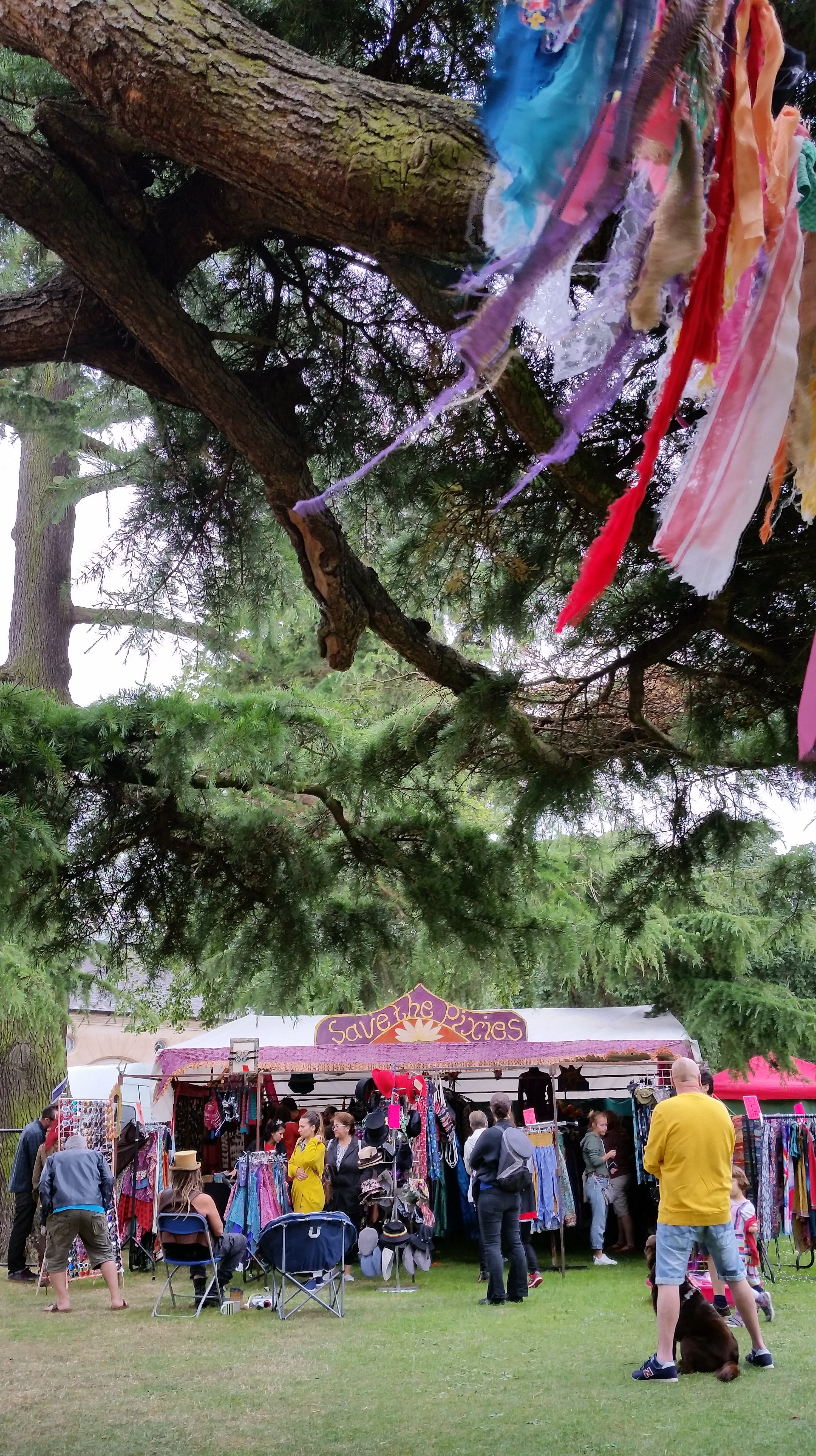 Save the Pixies at Leamington Spa Peace Festival