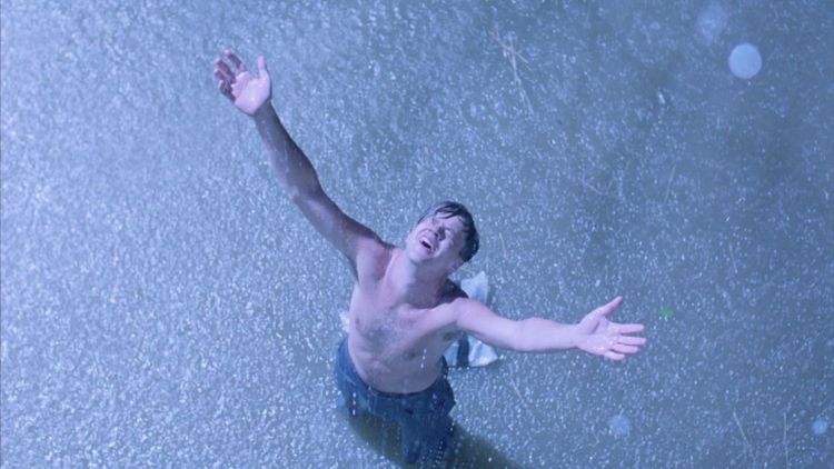 Tim Robbins in The Shawshank Redemption