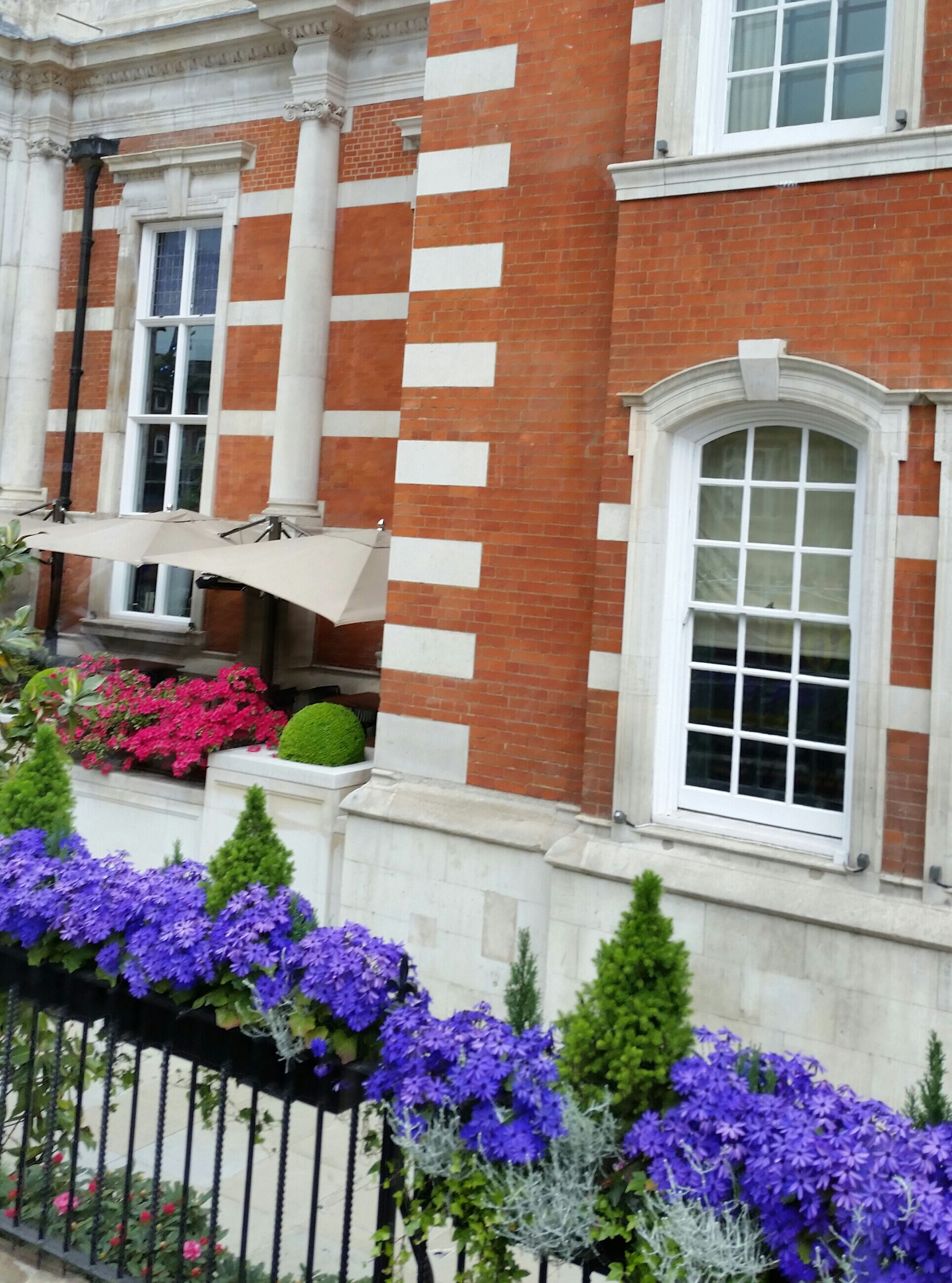 Window boxes on railings outside London residence