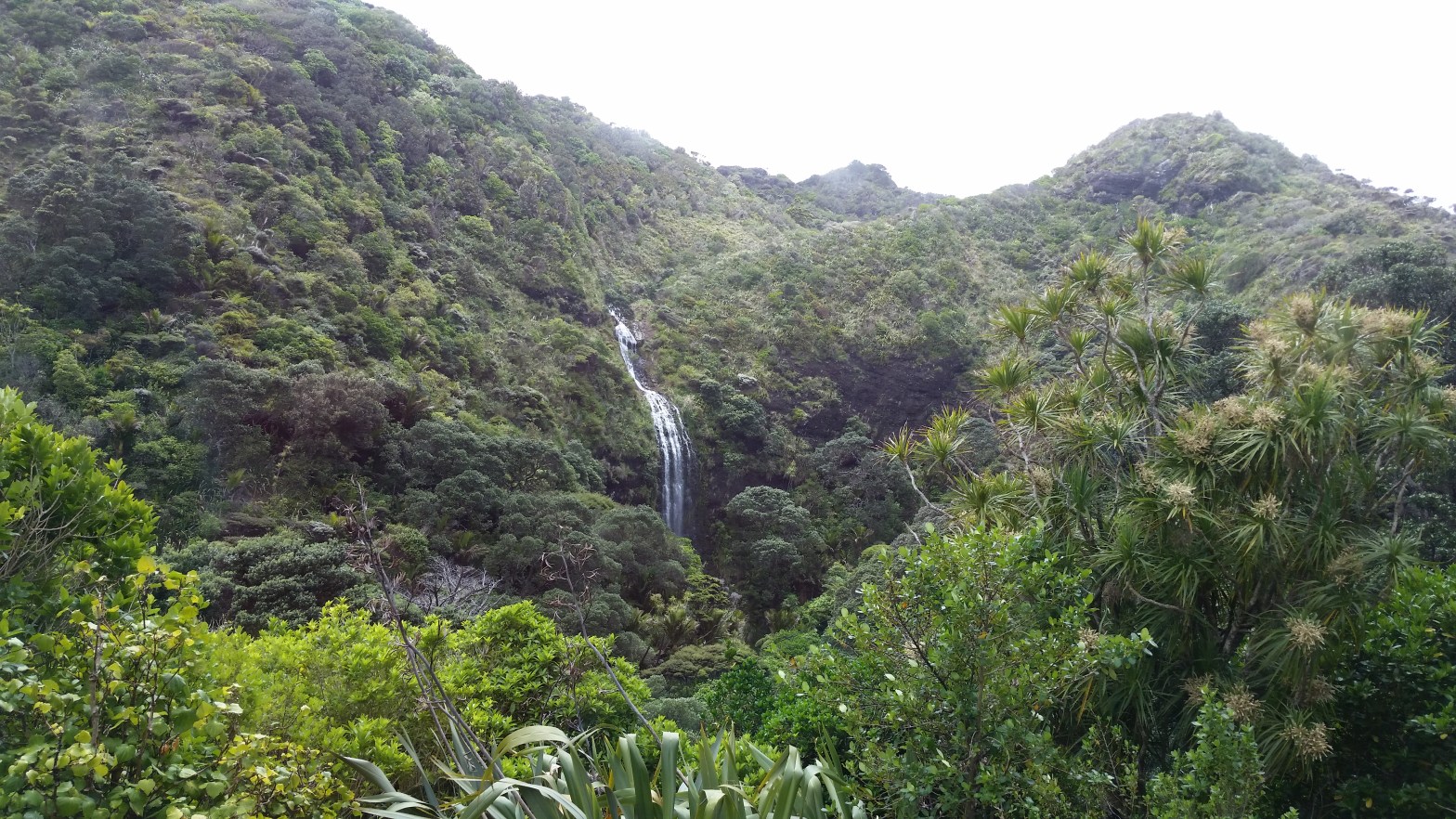 The landscape of New Zealand - the South Island