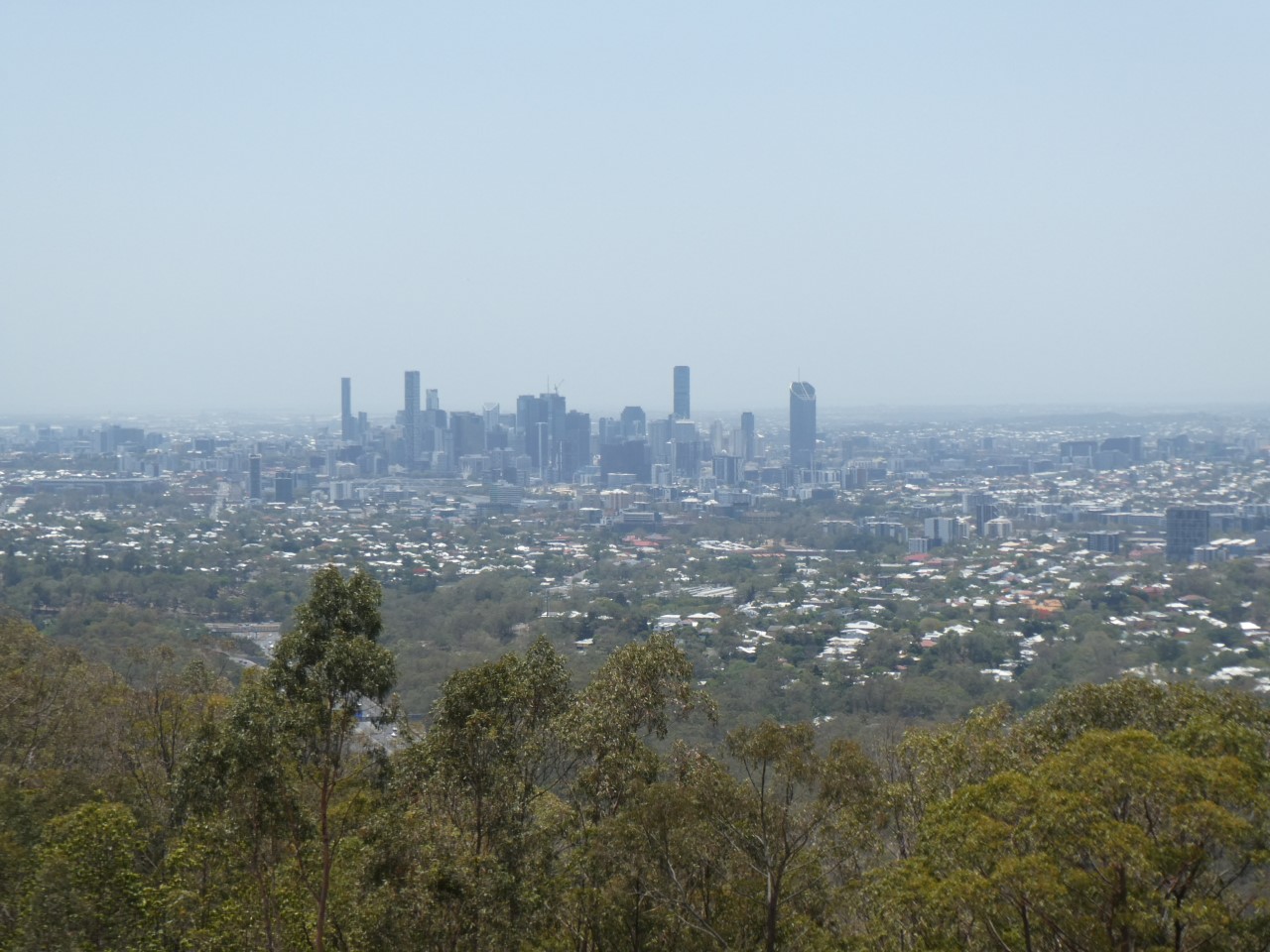 view over Brisbane from Mt Coot-tha Lookout