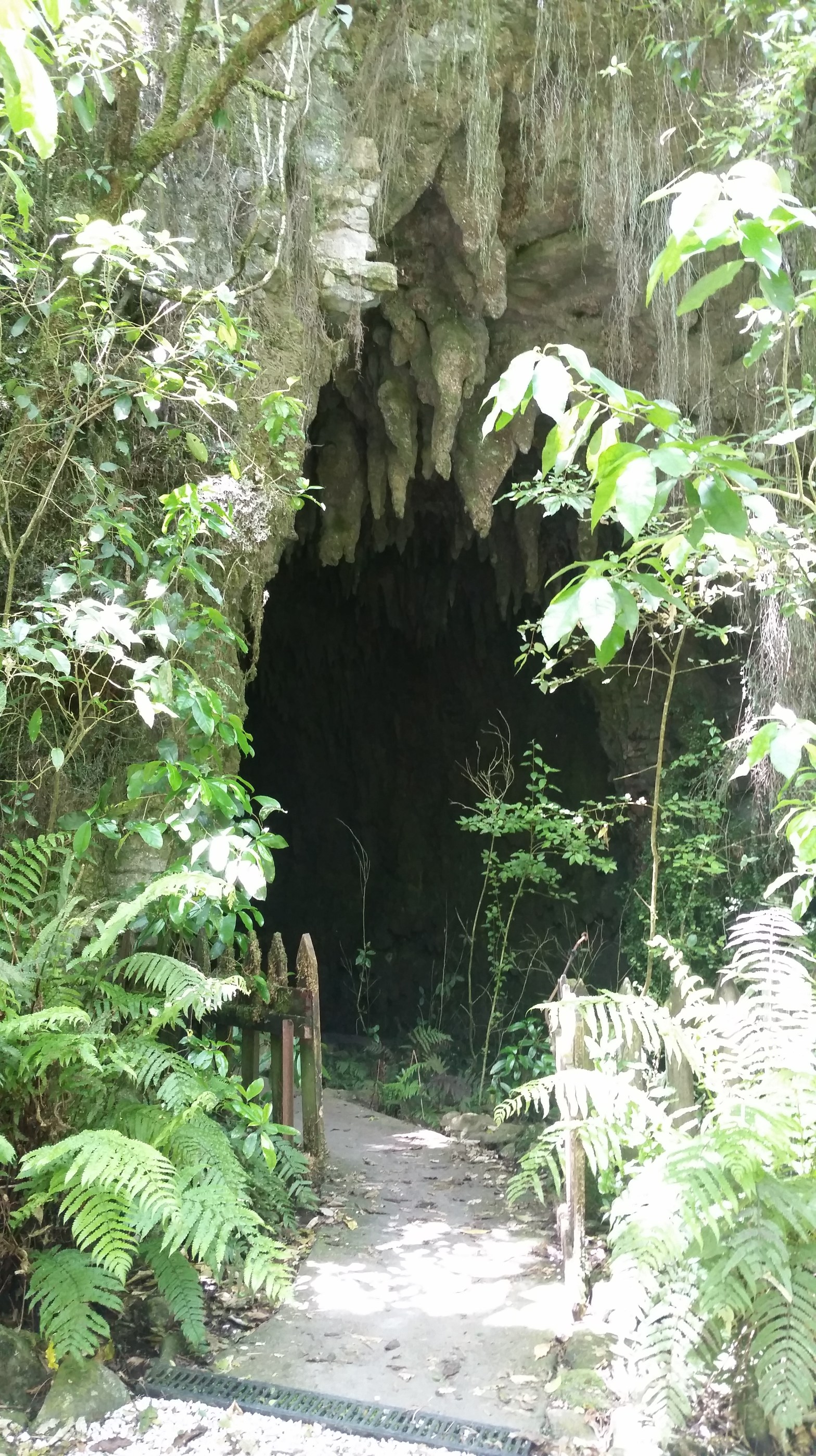 entrance to the Waitomo glowworm cave