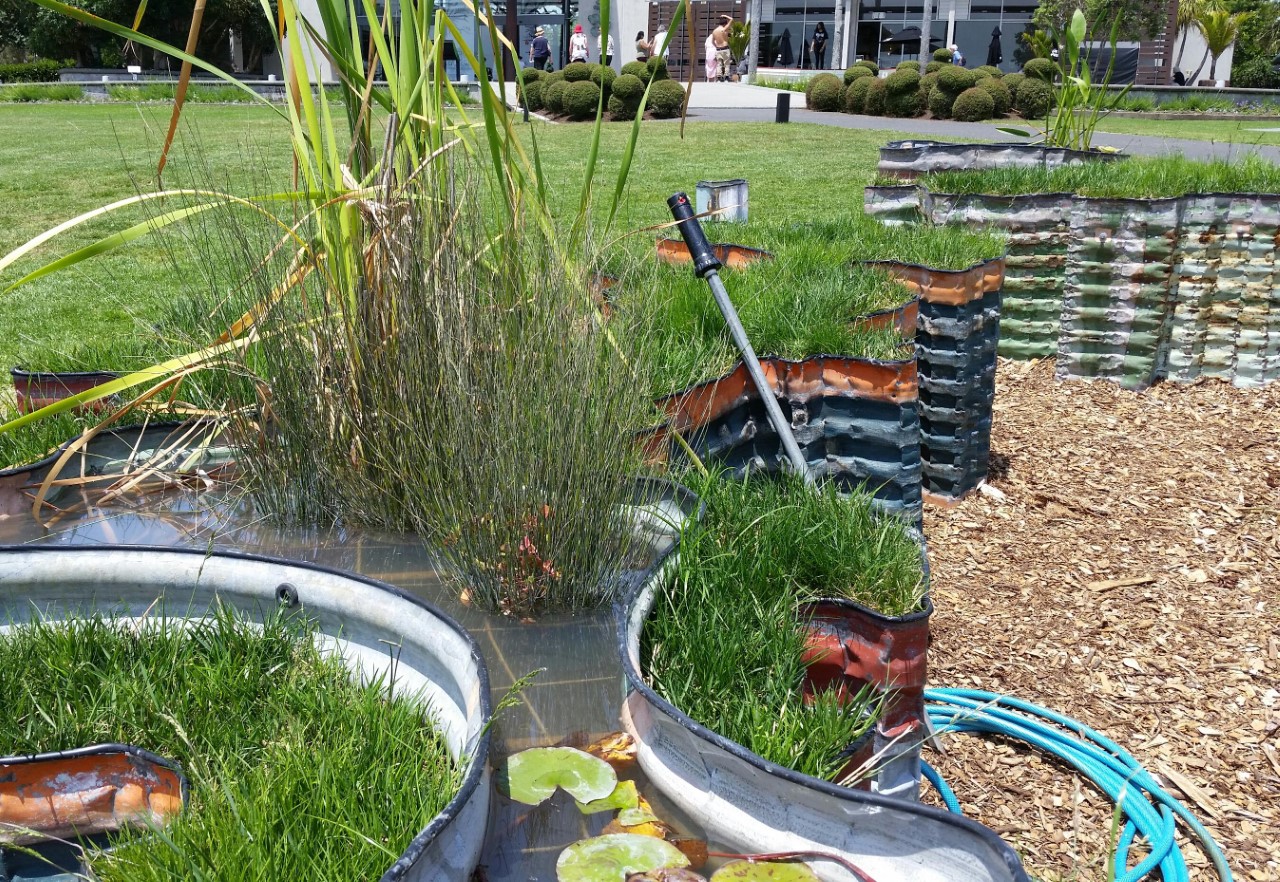 Islands by Jeff Thomson