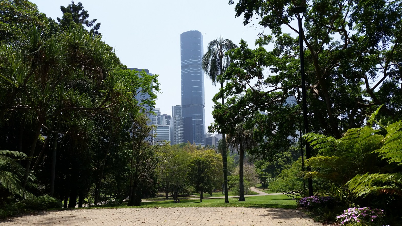 City lookout from Brisbane City Botanic Gardens