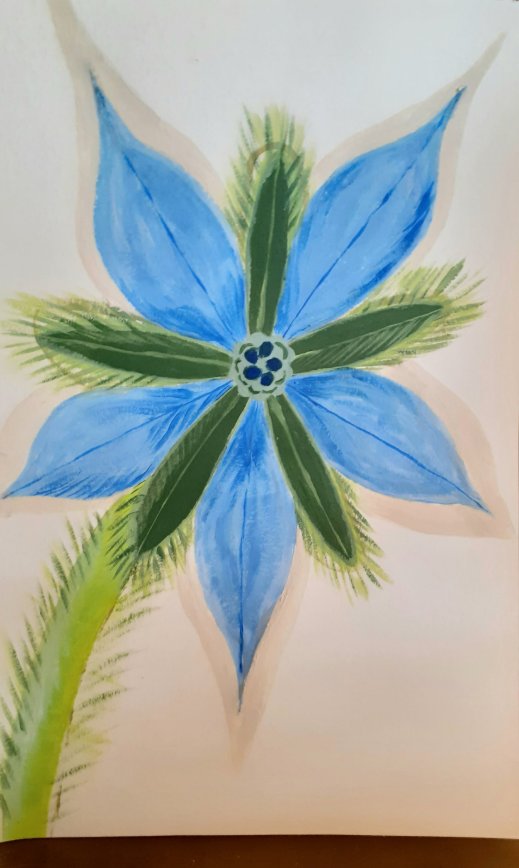 borage flower in acrylic paints SC Skillman lockdown art