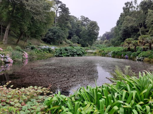 white bridge pool Trebah Gardens Cornwall