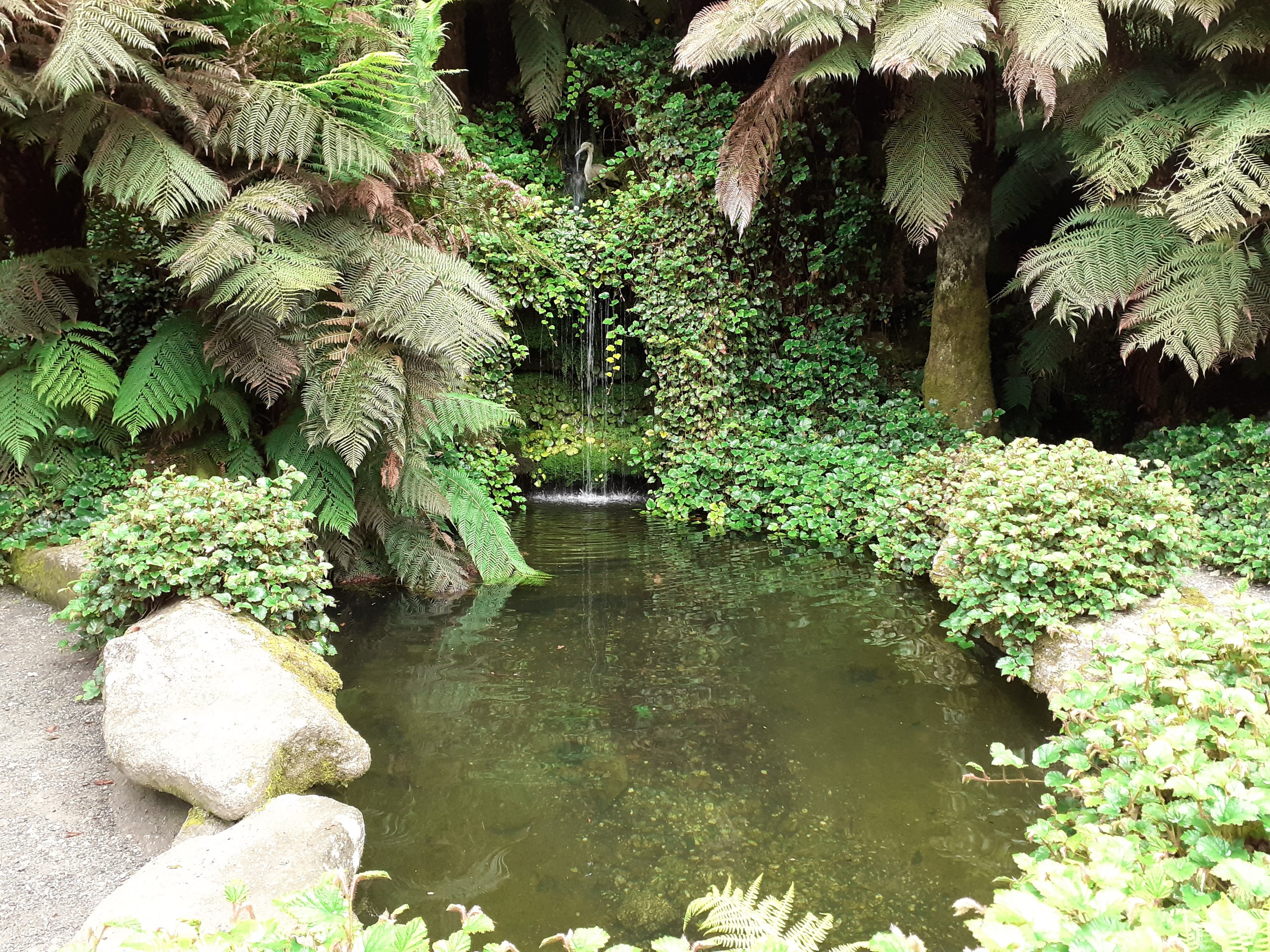 views Trebah Gardens Cornwall SC Skillman