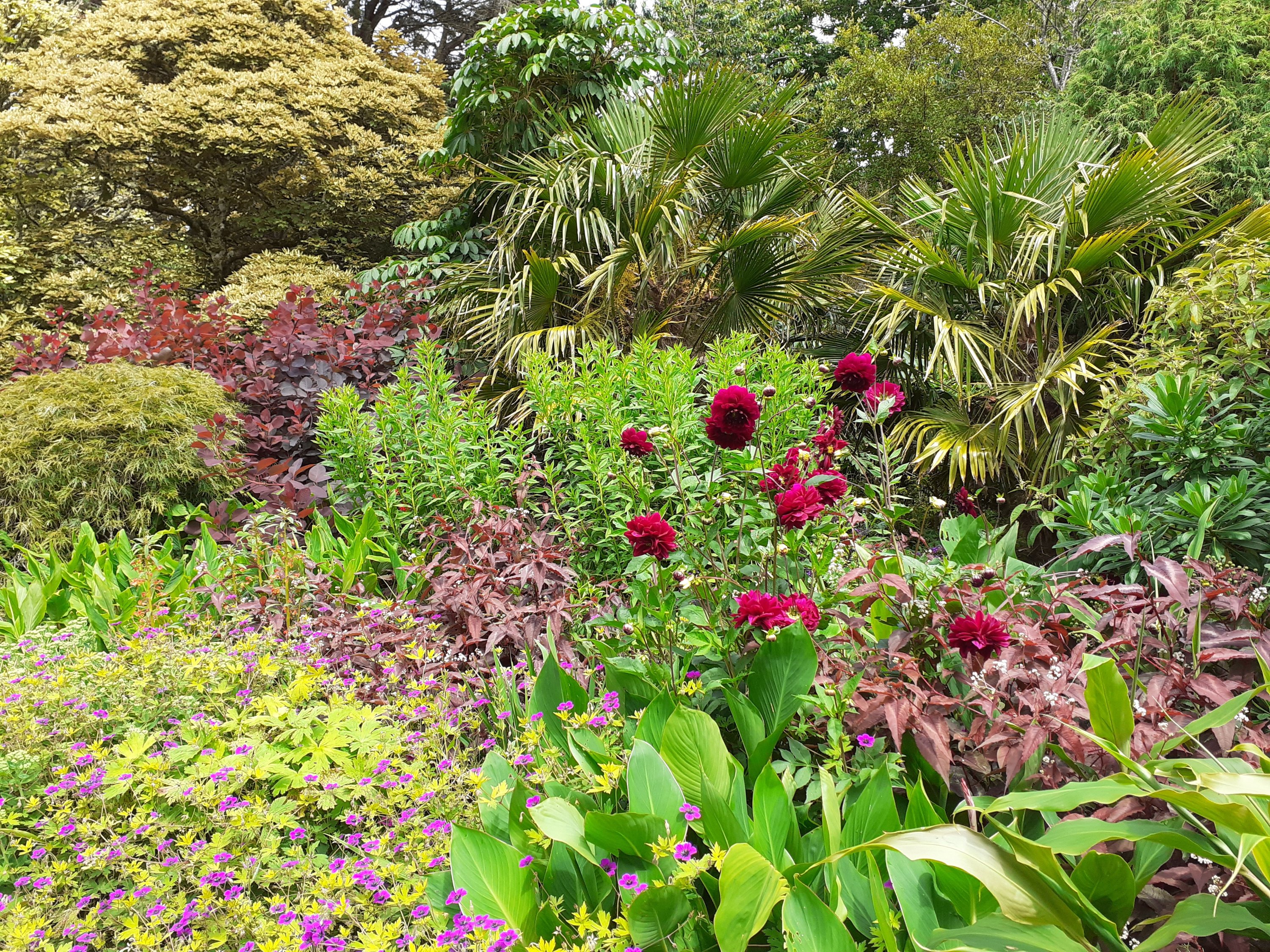 Walk through gardens Trellisick Fal Estuary Cornwall