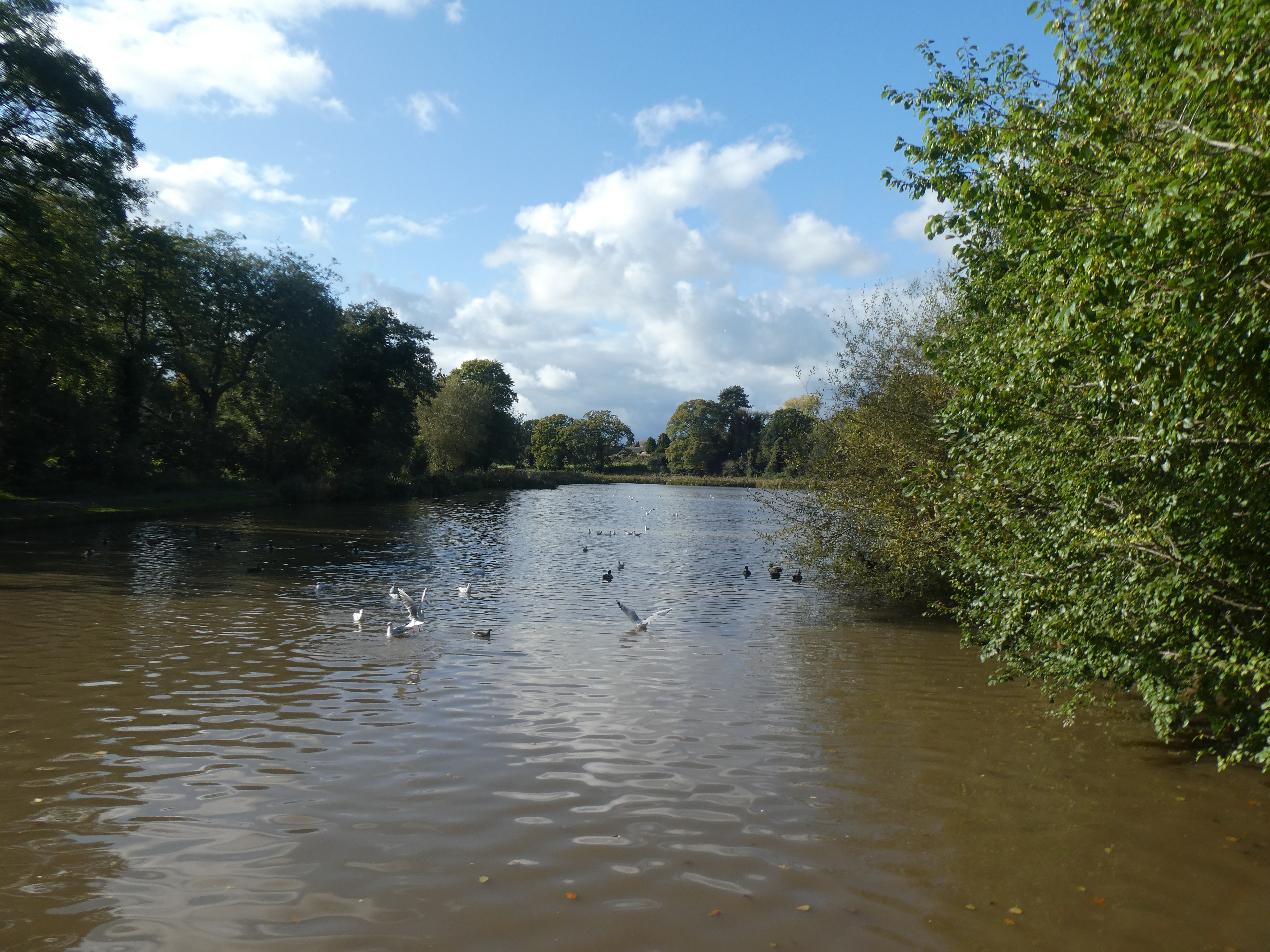 lake in Abbey Fields Kenilworth photo credit Jamie Robinson Paranormal Warwickshire SC Skillman