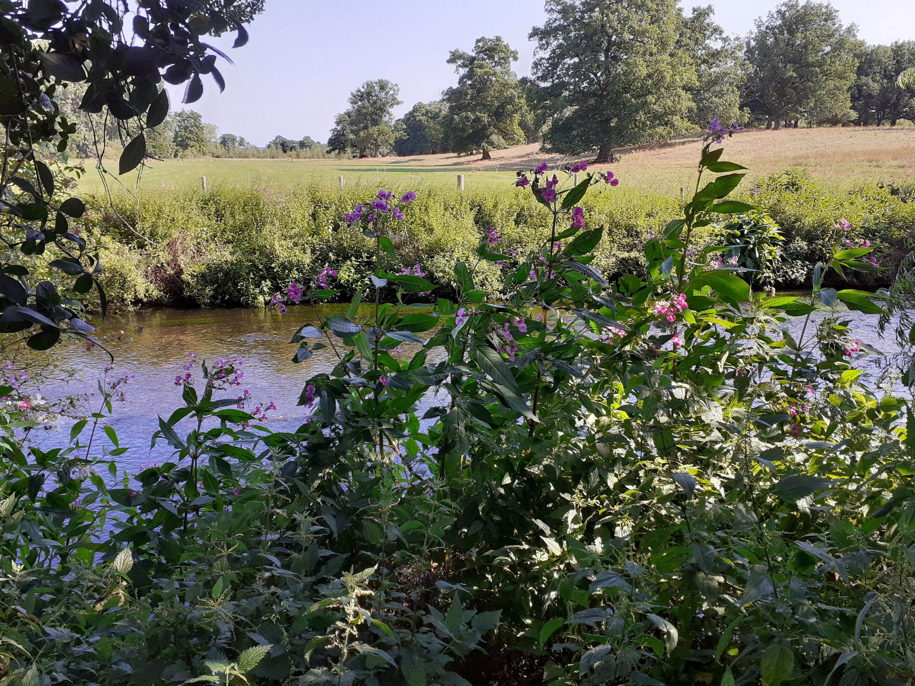 river Arrow at Coughton Court Warwickshire