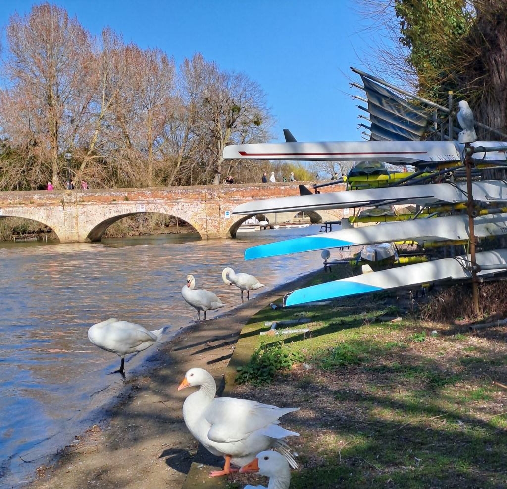 Stratford upon Avon Riverside Trail